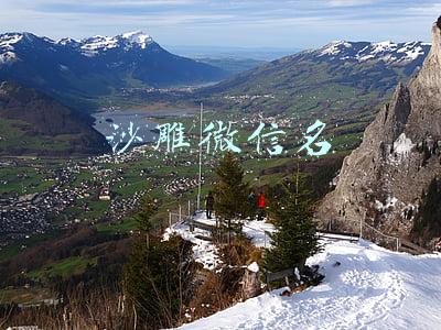 沙雕微信名