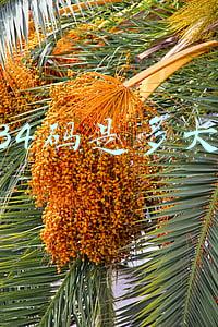 zara裤子34码是多大腰围(苏州新增新冠肺炎阳性感染者10例 详情公布)