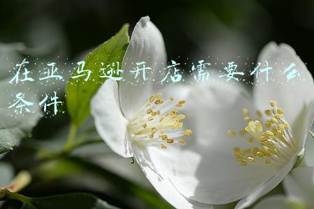 在亚马逊开店需要什么条件