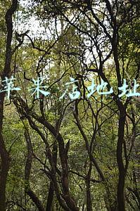 苹果店地址