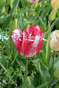取快递收费1元合法吗(顺丰坚持签收快递一元 浙江消保委：要和经营者“较较真”)