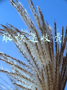 取快递收费合法吗12315(快递取件二次收费违法！申通、中通、圆通、韵达被约谈)