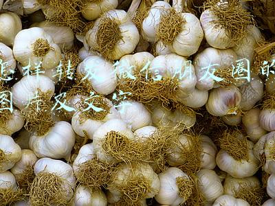 怎样转发微信朋友圈的图片及文字