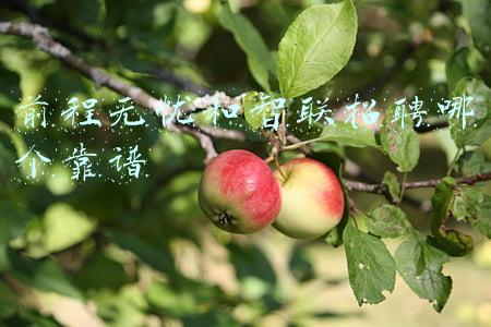 前程无忧和智联招聘哪个靠谱