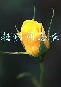快递超时间怎么赔偿 京东(顾客称发货延迟受损要求赔八百，京东：因补货延后，可赔一百)