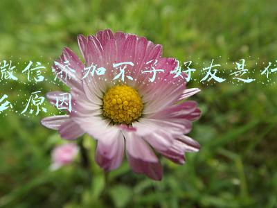 微信添加不了好友是什么原因