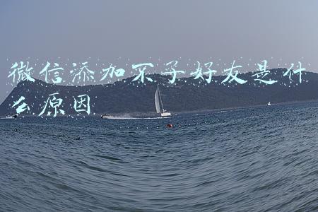 微信好友为什么添加不了(微信无法添加好友怎么办)