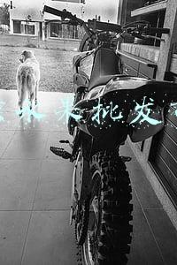北京水果批发市场