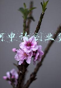 想创业贷款怎么贷(知创业者心，助创业者力 | “贷免扶补”创业贷款申请流程及所需资料)
