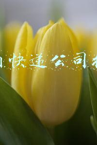 国内快递公司排名