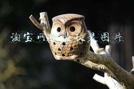 淘宝网女装秋装图片