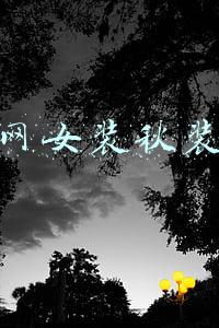 淘宝网女装秋装图片