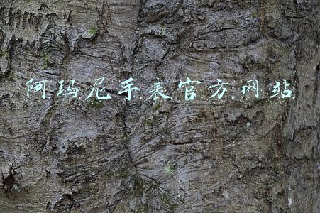 阿玛尼手表官方网站 阿玛尼手表官方网站