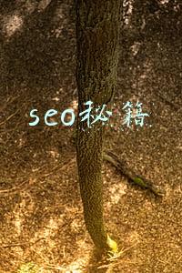 seo秘籍