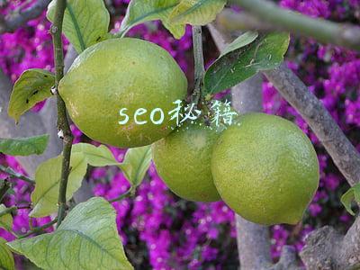 如何seo优化(企业网站快速优化排名，必备的SEO方法与策略)