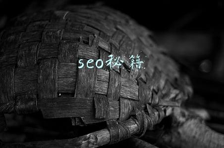 seo秘籍