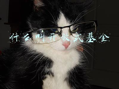 什么叫开放式基金