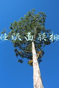 保湿睡眠面膜排行榜