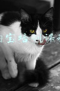 淘宝培训课程