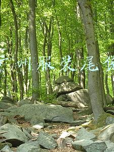 广州服装尾货