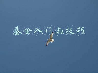 基金入门与技巧
