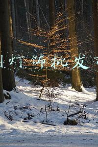 广州灯饰批发市场