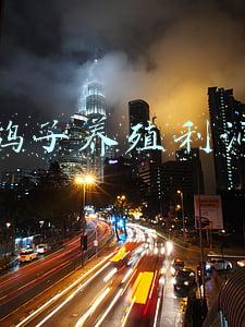 鸽子养殖利润