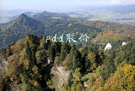 pdd股价盘前(美股异动 | 拼多多(PDD.US)盘前涨约4%，获文艺复兴科技二季度增持约328万股)