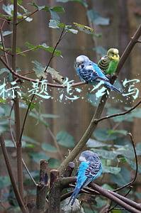 标题怎么写好看(你会写标题吗？看看下面这24种实用标题写法吧，还有案例分析哦)