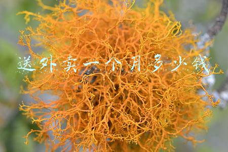 县城里送外卖一个月多少钱(小县城送外卖每单2.5元)