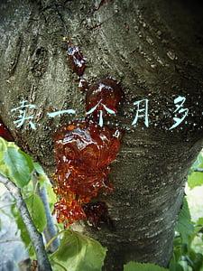 送外卖一个月多少钱