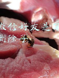 测试微信好友是不是把自己删除了