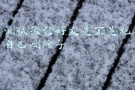 测试微信好友是不是把自己删除了