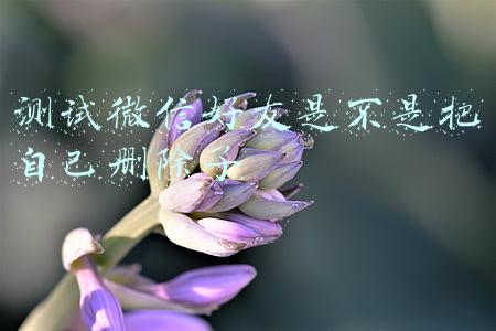 测试微信好友是不是把自己删除了