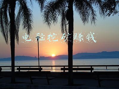 电脑挖矿赚钱平台(初中学历小伙自学成“才” 利用电脑“挖矿”赚钱)