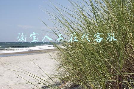 淘宝人工在线客服