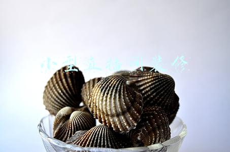 小型直播间装修