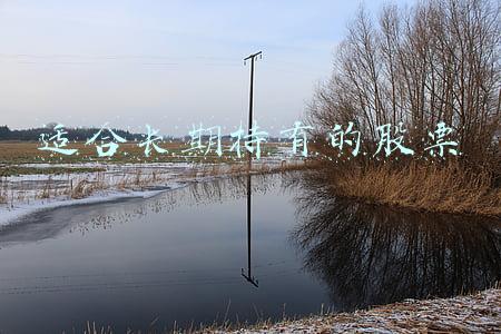 适合长期持有的股票
