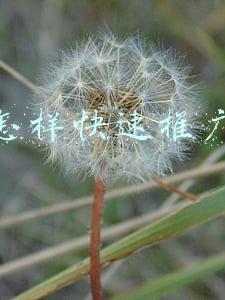 怎样快速推广