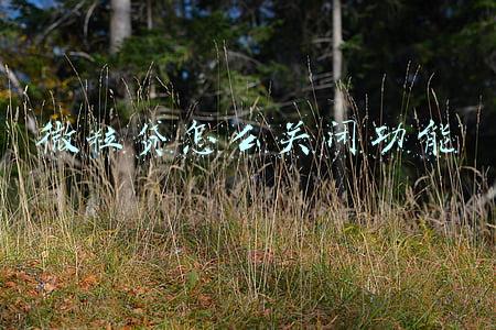 微粒贷怎么关闭功能