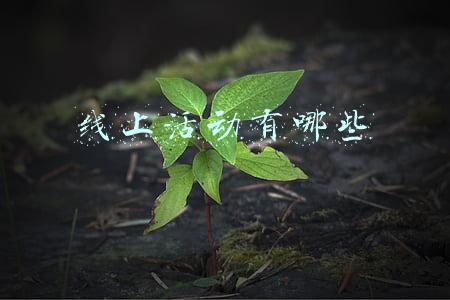 线上活动有哪些