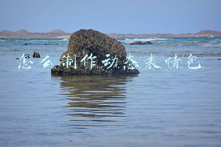 怎么制作动态表情包