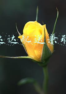 达达配送兼职