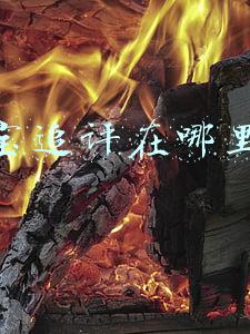 手机淘宝追评在哪里看(刹那 鉴别教程20-1-2 三星全系手机（S20 N10 S10)翻新鉴定02)