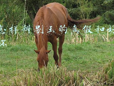 怎样辨别玉的真假和好坏