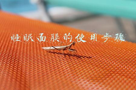 睡眠面膜的使用步骤