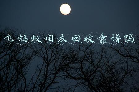 飞蚂蚁旧衣回收靠谱吗