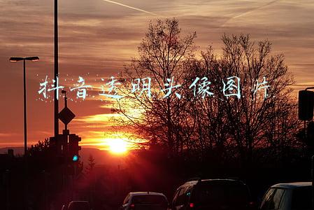 抖音透明头像图片