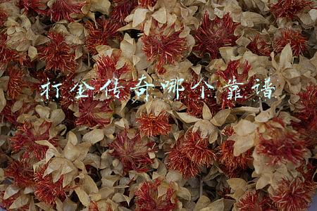 打金传奇哪个靠谱