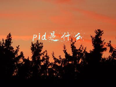 pid是什么